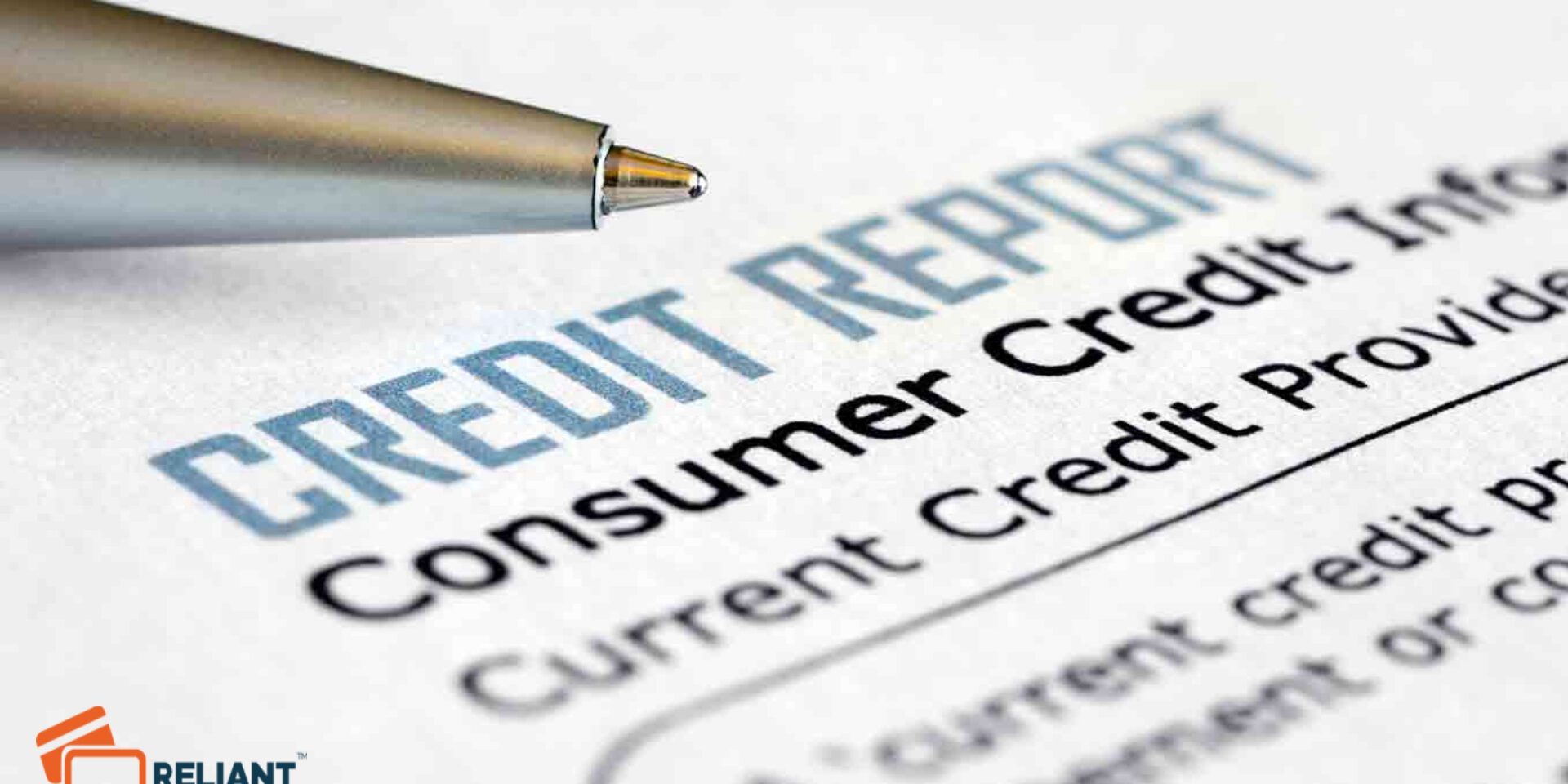 What's In A Credit Report