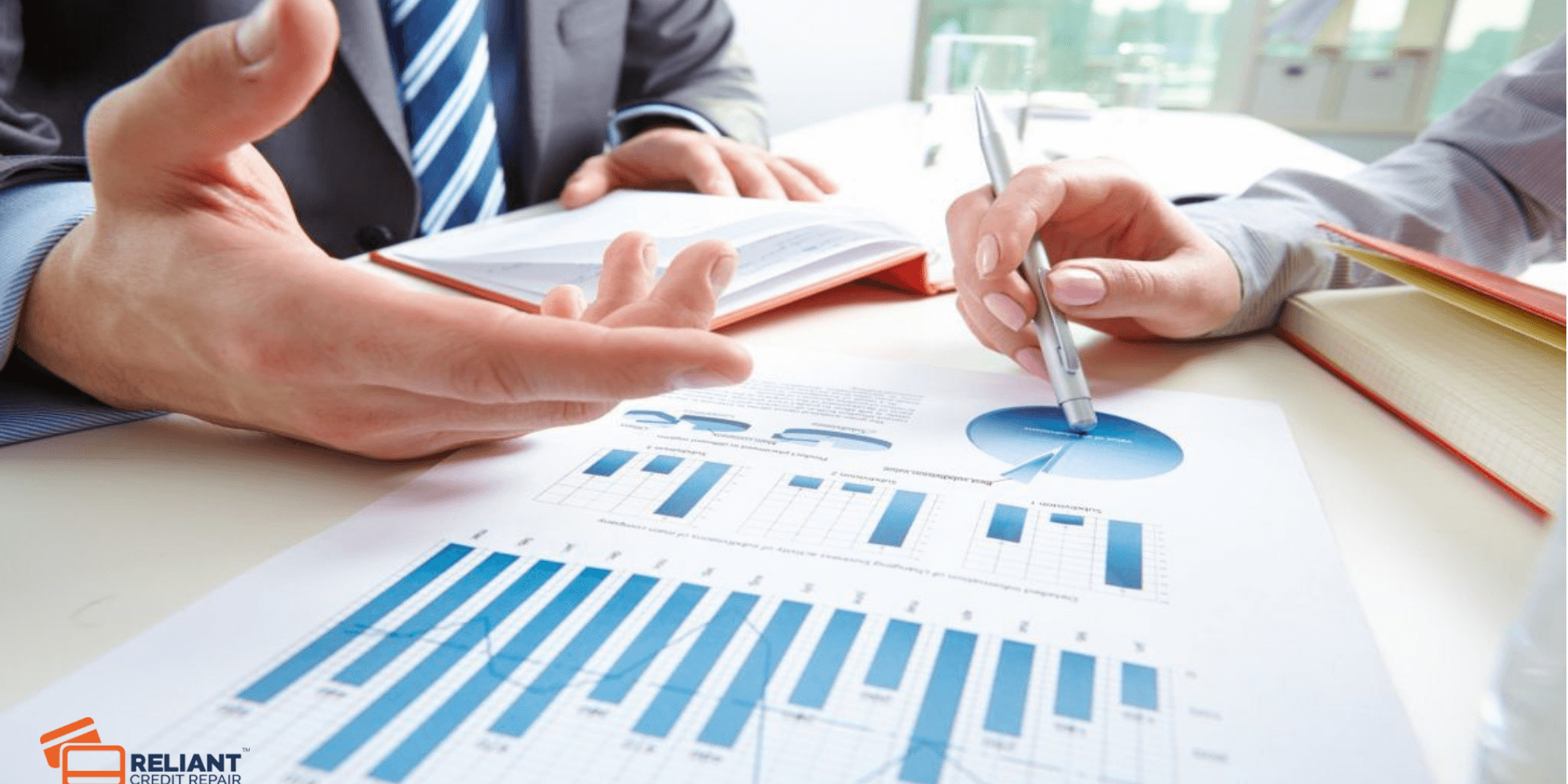 Credit Report Repair