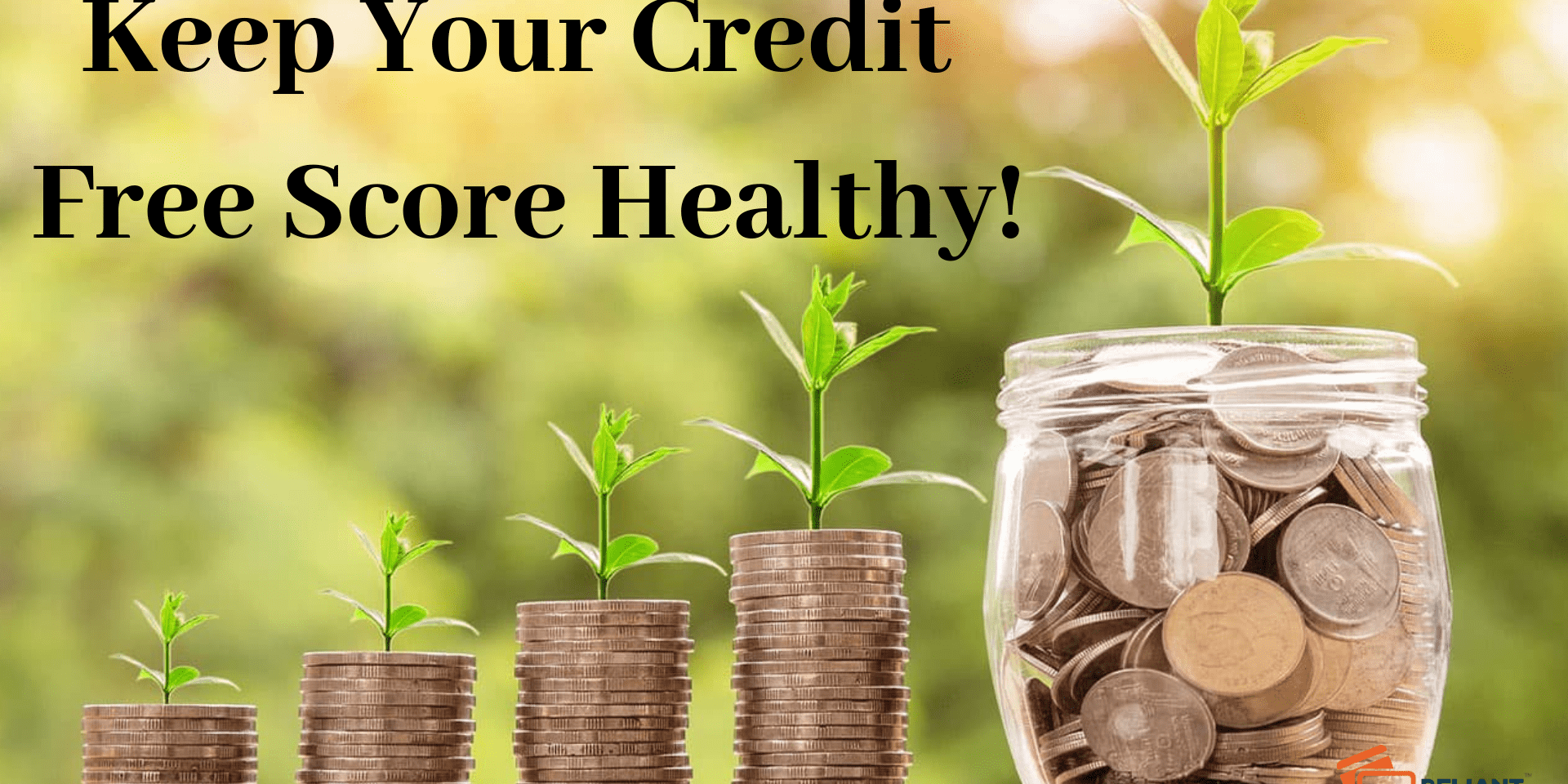 Credit Free Score Healthy