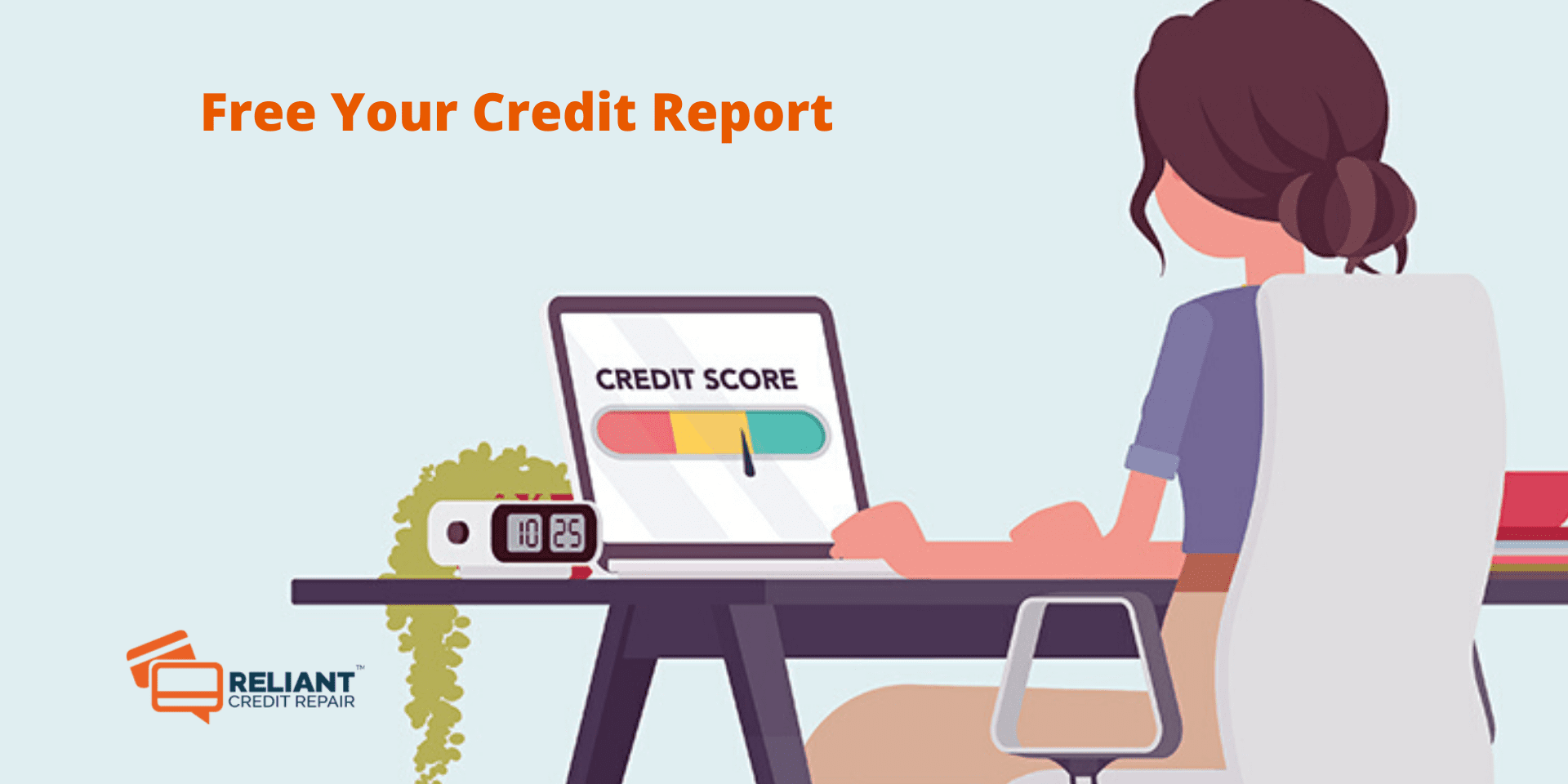 credit report contents