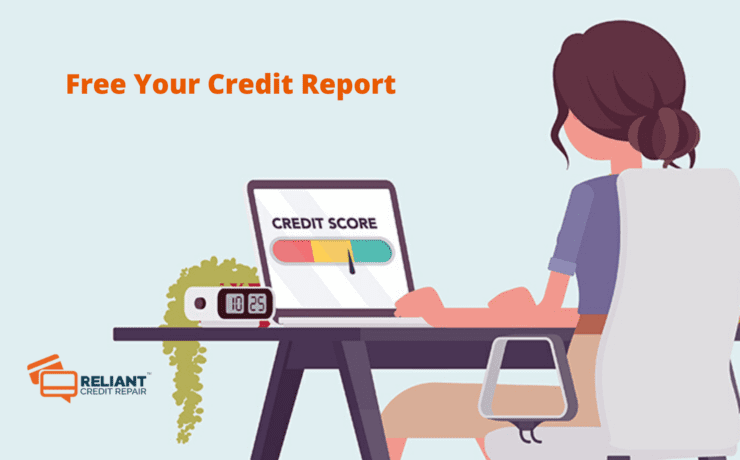 credit report contents
