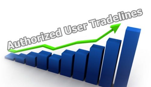 authorized user definition