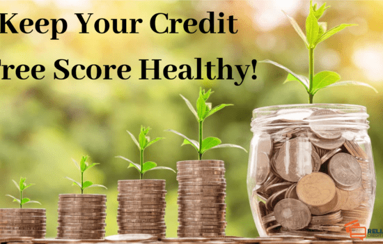 Credit Free Score Healthy